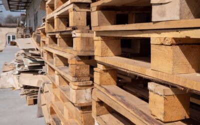 Raklap kisokos: minden, amit tudni érdemes